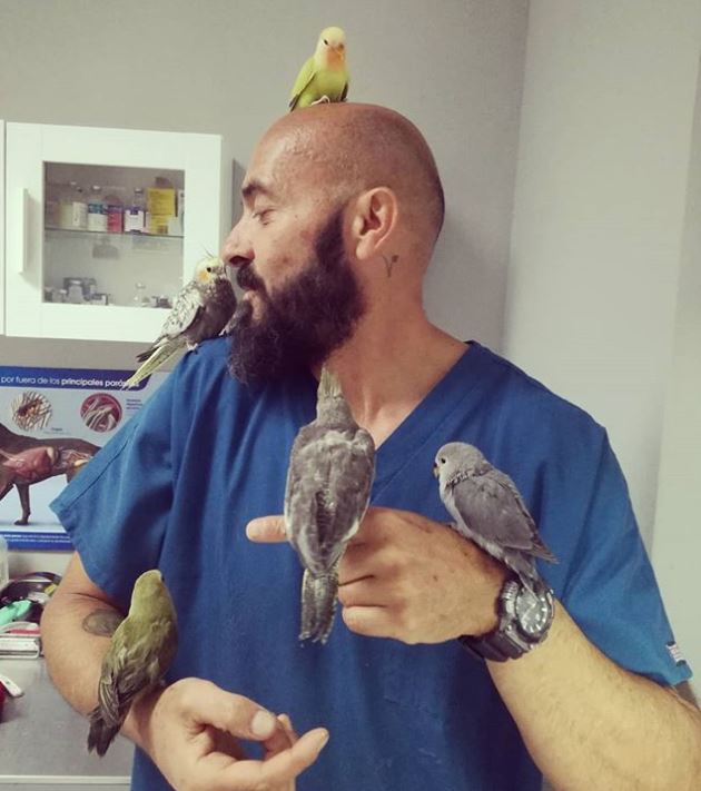 Wild birds of Malaga